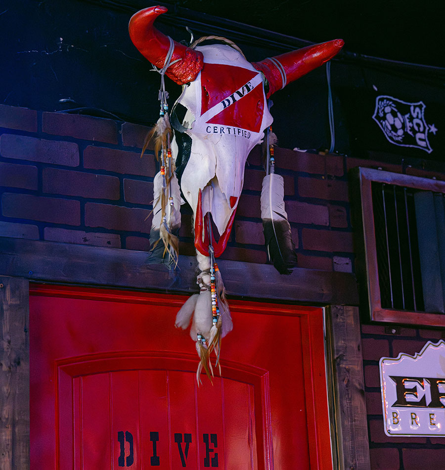 Dive Certified painted skull at Willies Lounge